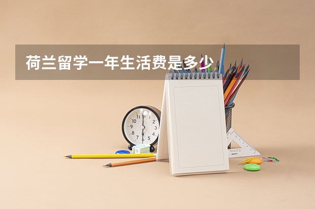 荷兰留学一年生活费是多少