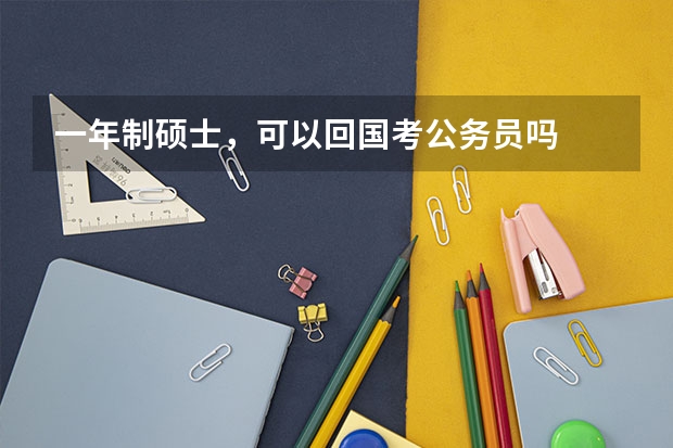 一年制硕士，可以回国考公务员吗