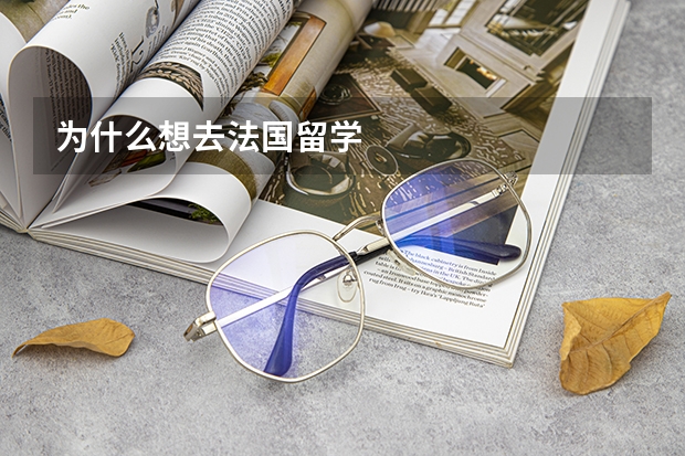 为什么想去法国留学