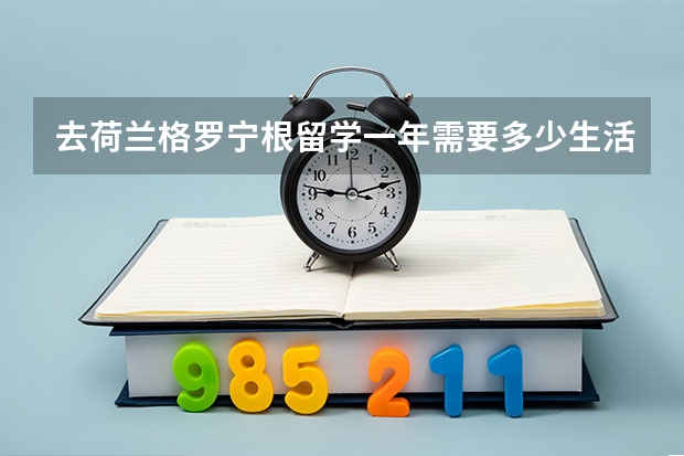 去荷兰格罗宁根留学一年需要多少生活费