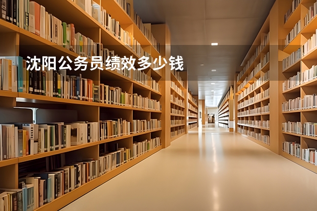 沈阳公务员绩效多少钱