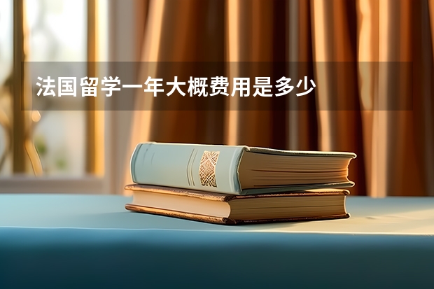 法国留学一年大概费用是多少