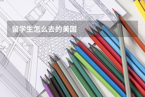 留学生怎么去的美国