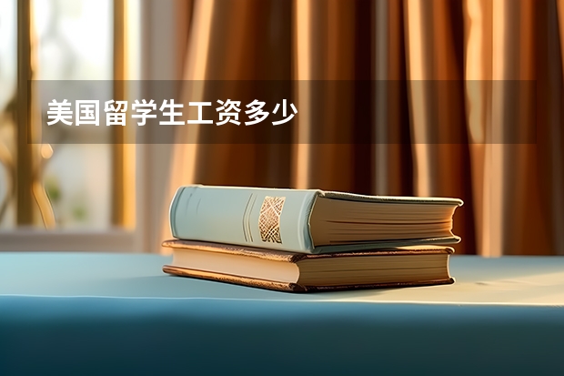 美国留学生工资多少