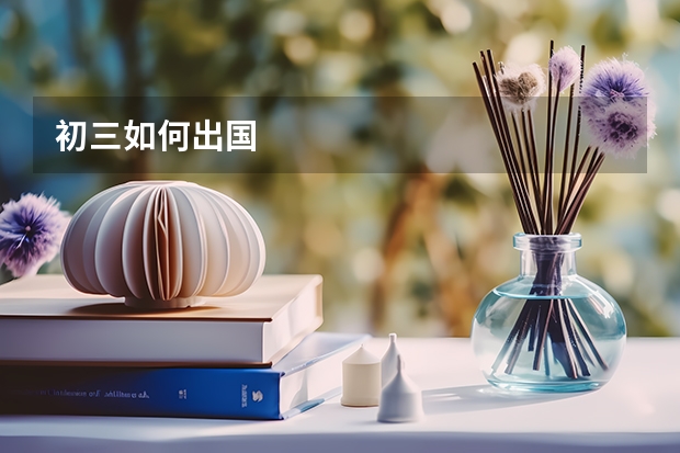 初三如何出国