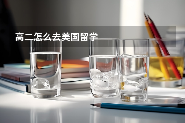 高二怎么去美国留学
